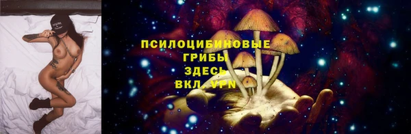дмт Бугульма