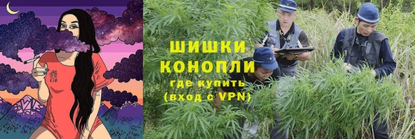 дмт Бугульма