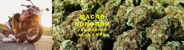 спайс Бородино