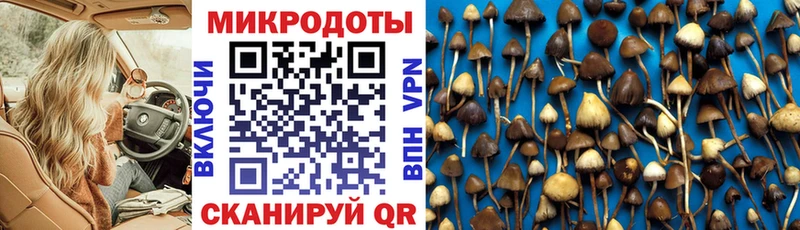 Псилоцибиновые грибы MAGIC MUSHROOMS  Купить где  Медногорск 