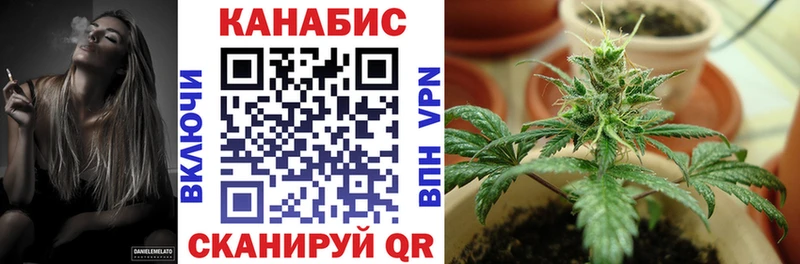 Бошки марихуана семена  Купить где  Медногорск 